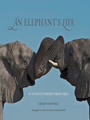 cover image of Elephant's Life